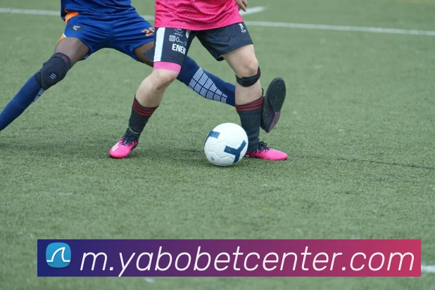 亚博体育APP 封面图